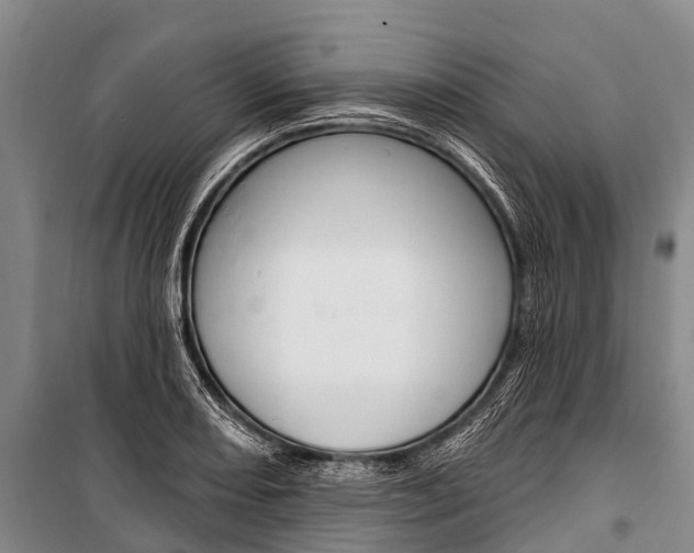 X0000101211082200806270848