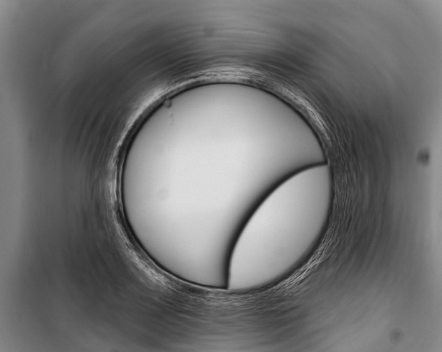 X0000101211083200806270848