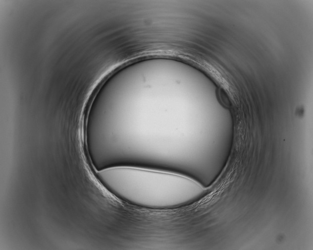 X0000101211084200806270848