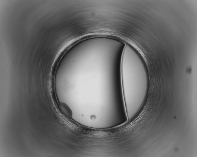 X0000101211085200806270848