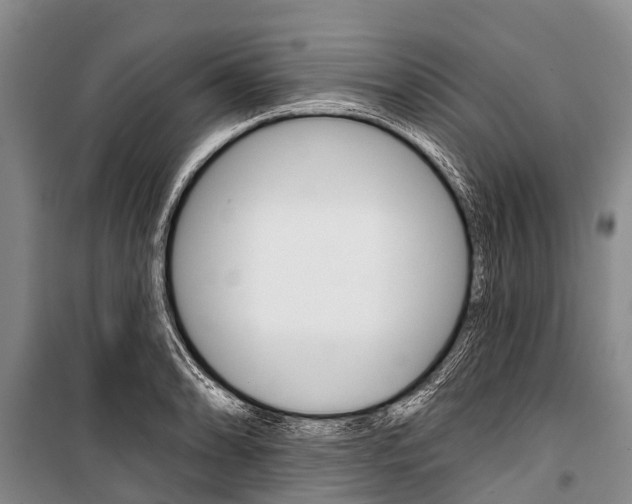 X0000101211086200806270848