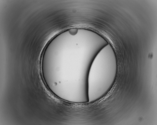 X0000101211087200806270848