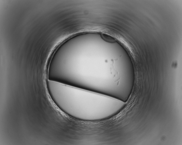 X0000101211088200806270848