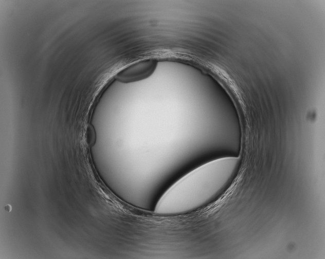 X0000101211089200806270848