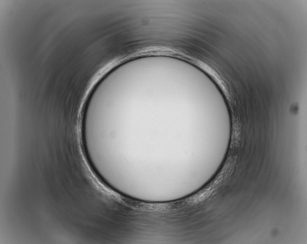 X0000101211090200806270848