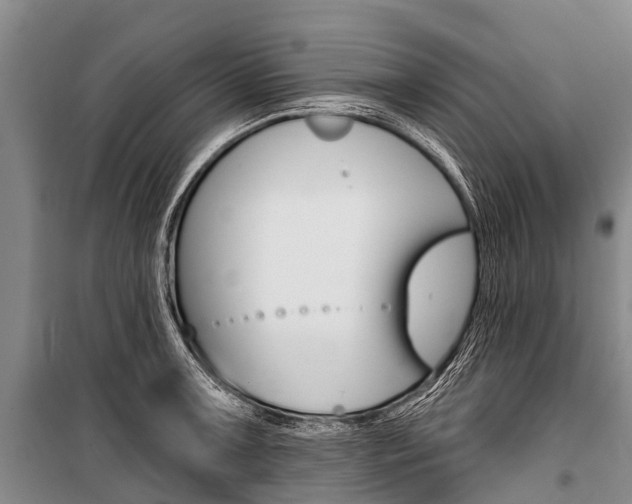 X0000101211091200806270848