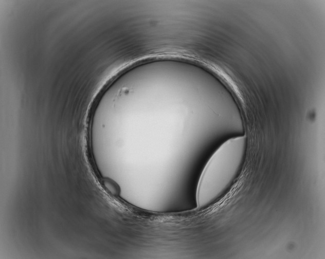X0000101211093200806270848