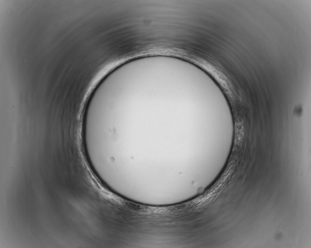 X0000101211094200806270848