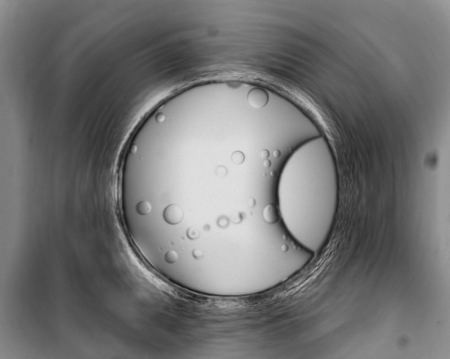 X0000101211095200806270848