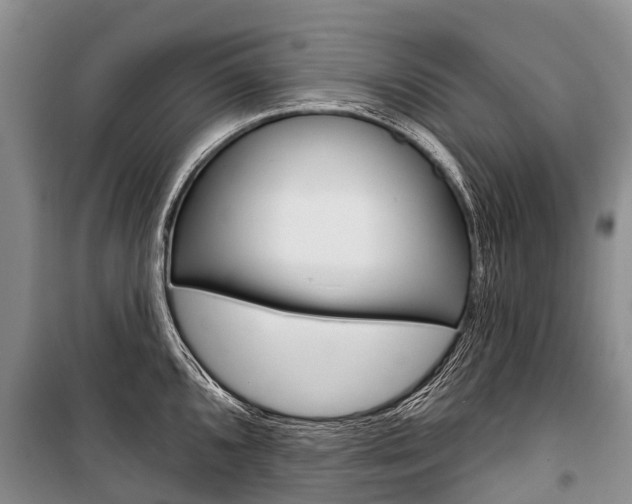 X0000101211096200806270848