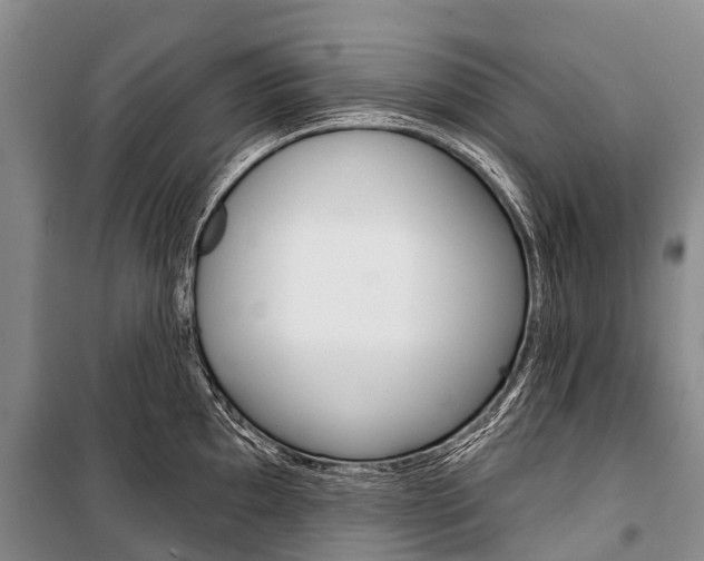 X0000101211097200806270848
