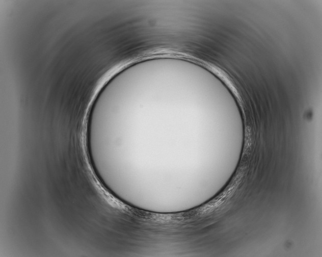 X0000101211098200806270848