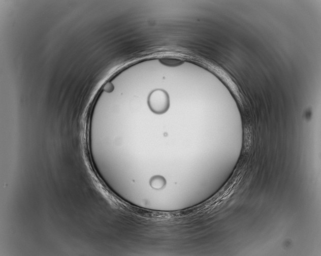 X0000101211099200806270848