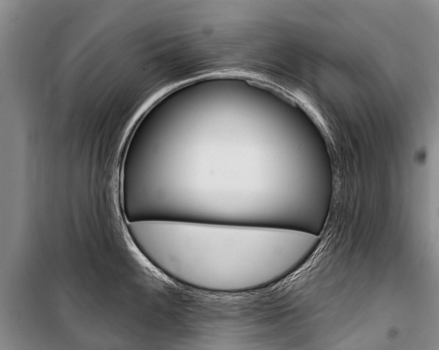 X0000101211100200806270848
