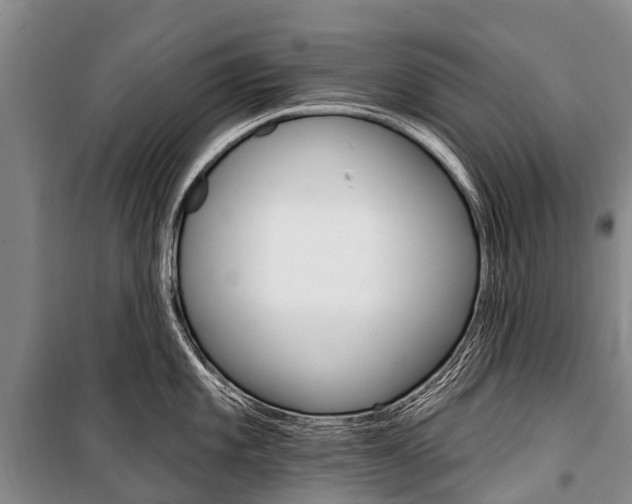 X0000101211101200806270848
