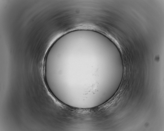 X0000101211103200806270848