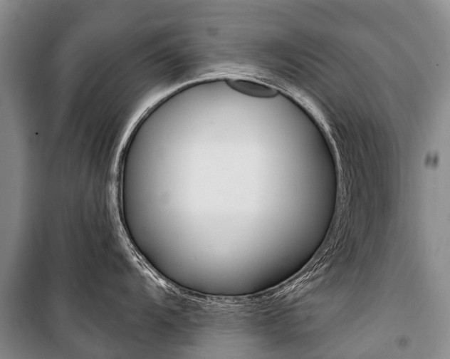 X0000101211104200806270848