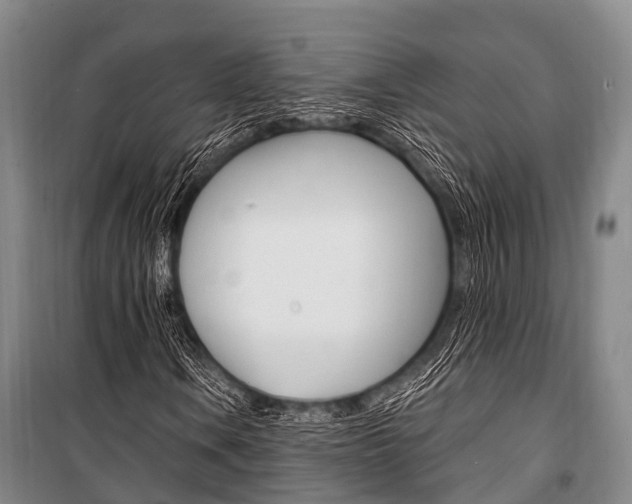 X0000101211106200806270847