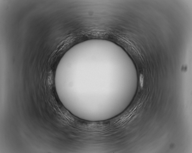 X0000101211107200806270847