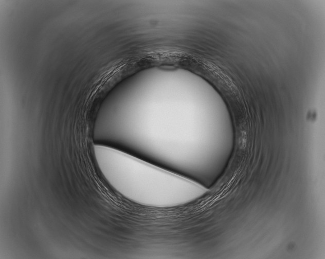 X0000101211108200806270847