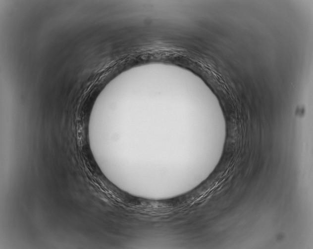 X0000101211109200806270847