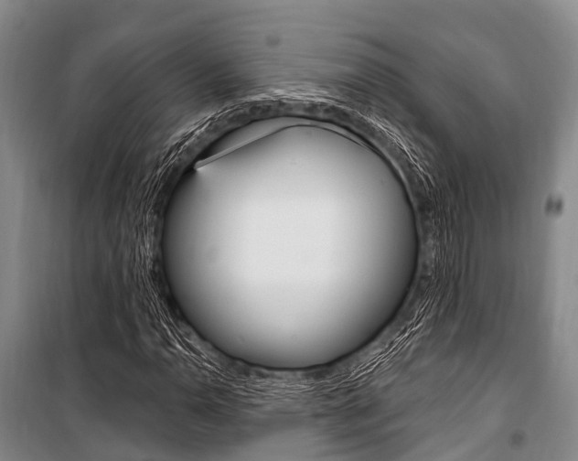 X0000101211110200806270847