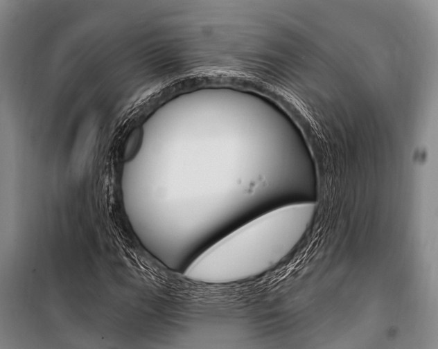 X0000101211111200806270847