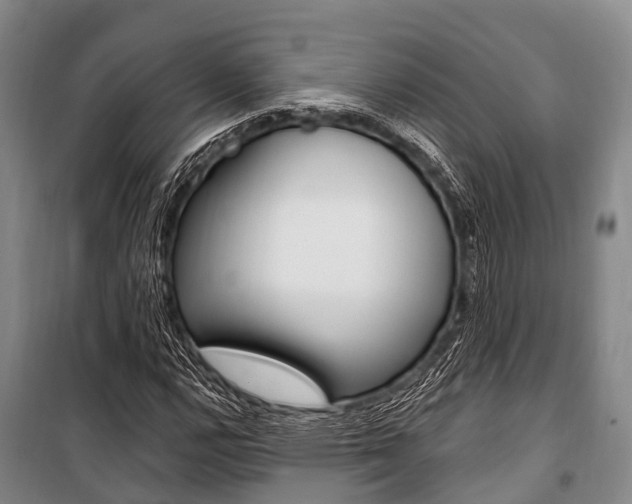 X0000101211112200806270847