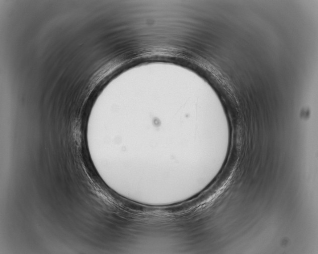 X0000101211113200806270847