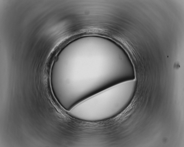 X0000101211115200806270847