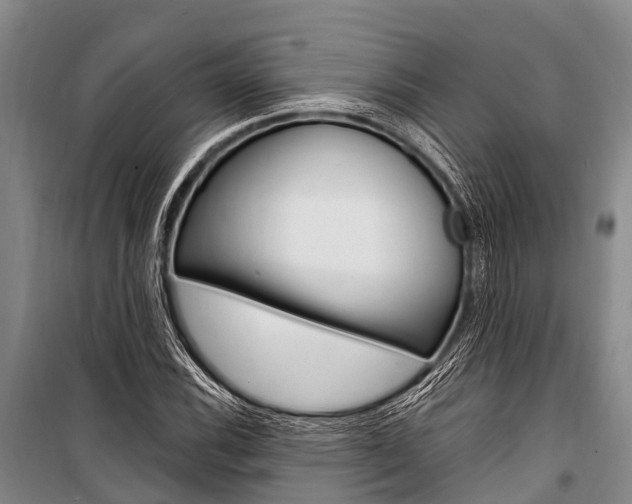 X0000101211116200806270847