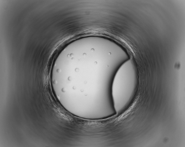 X0000101211117200806270847