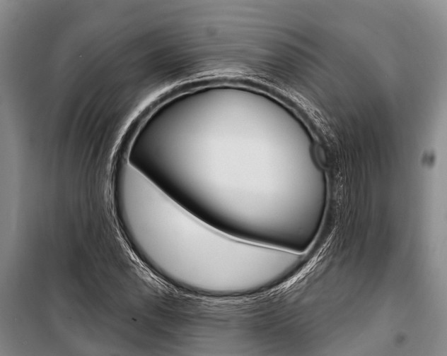 X0000101211118200806270847
