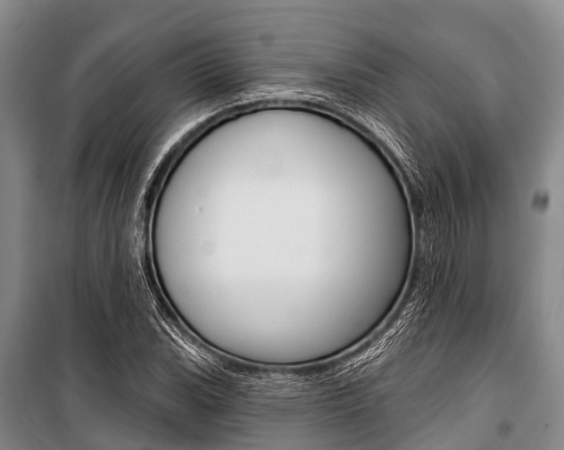 X0000101211119200806270847