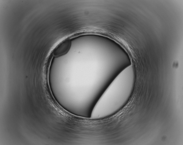 X0000101211120200806270847