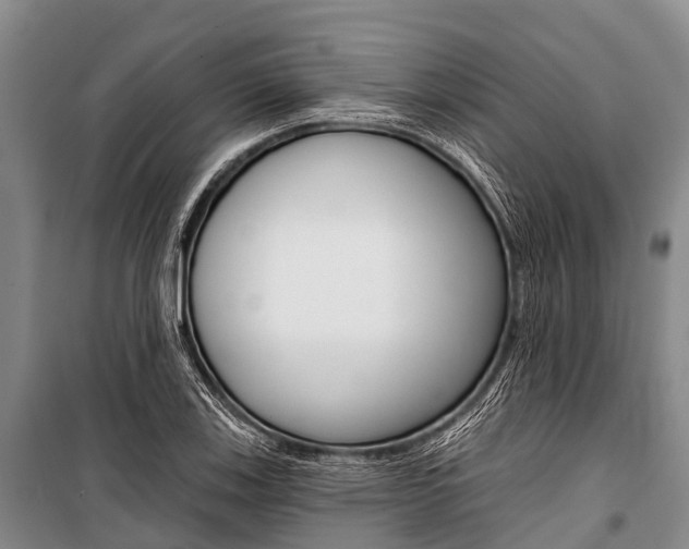 X0000101211123200806270847