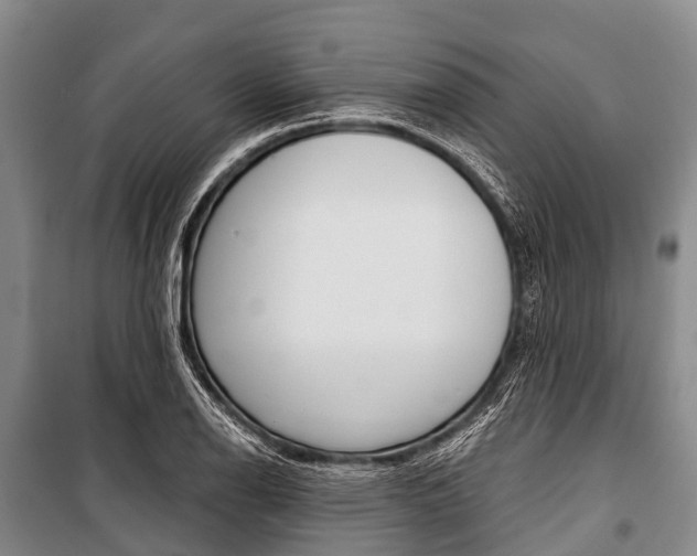 X0000101211126200806270847