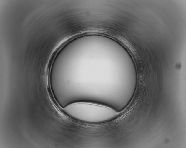 X0000101211127200806270847