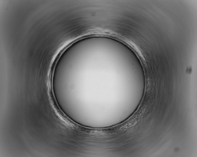 X0000101211128200806270847