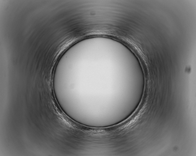 X0000101211129200806270847