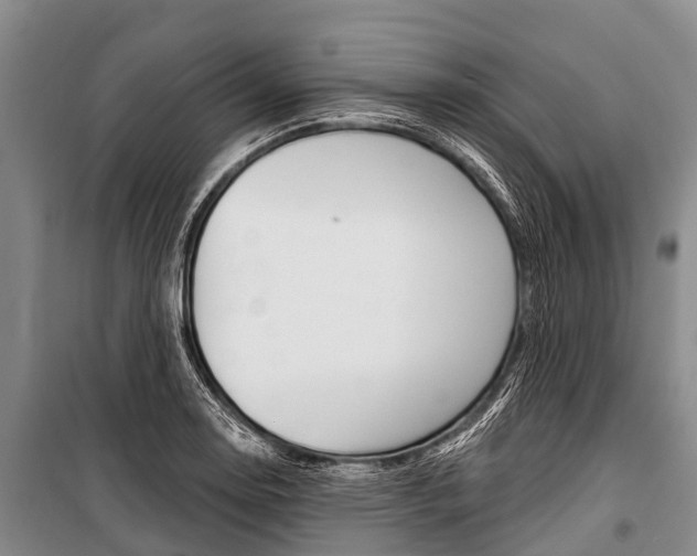 X0000101211130200806270847