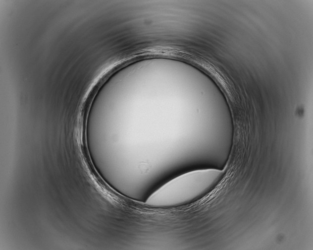 X0000101211131200806270847