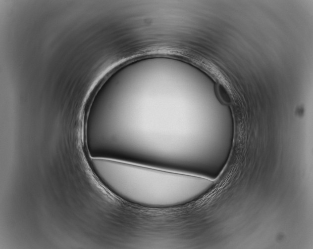 X0000101211132200806270847