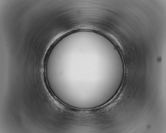 X0000101211133200806270847