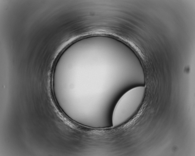 X0000101211134200806270847