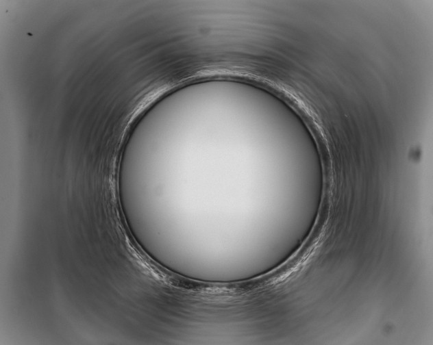 X0000101211137200806270847