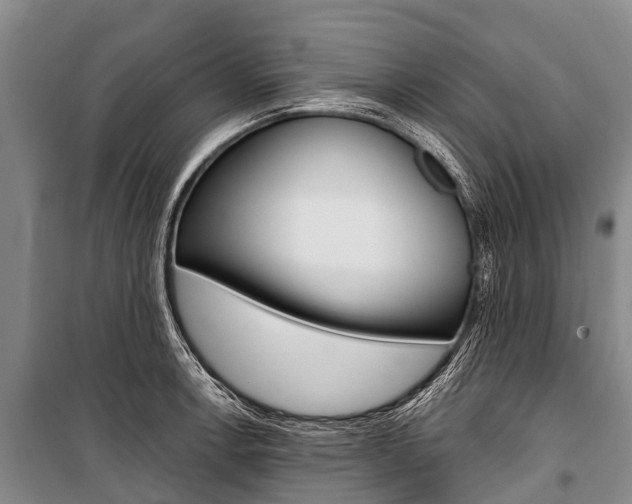 X0000101211138200806270847