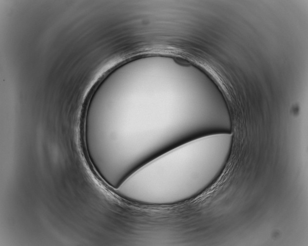 X0000101211139200806270847