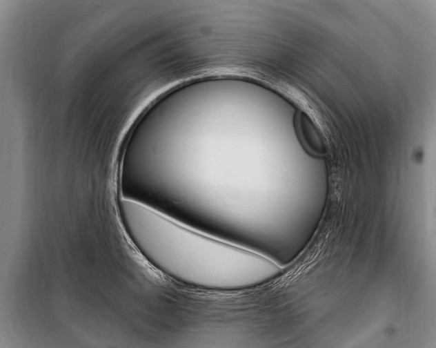 X0000101211140200806270847