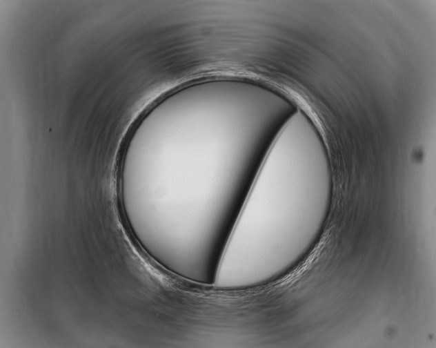 X0000101211141200806270847